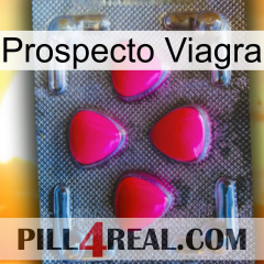 Prospecto Viagra 13